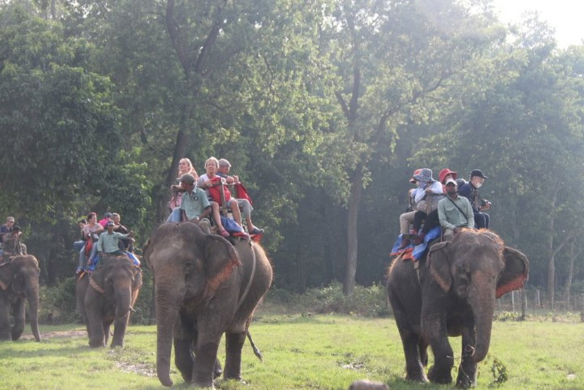 822503737452809749Hatti-Safari-Sauraha-SatarDay-finel.