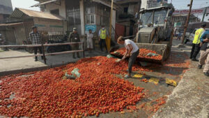 Tomato Kalimati1687431113