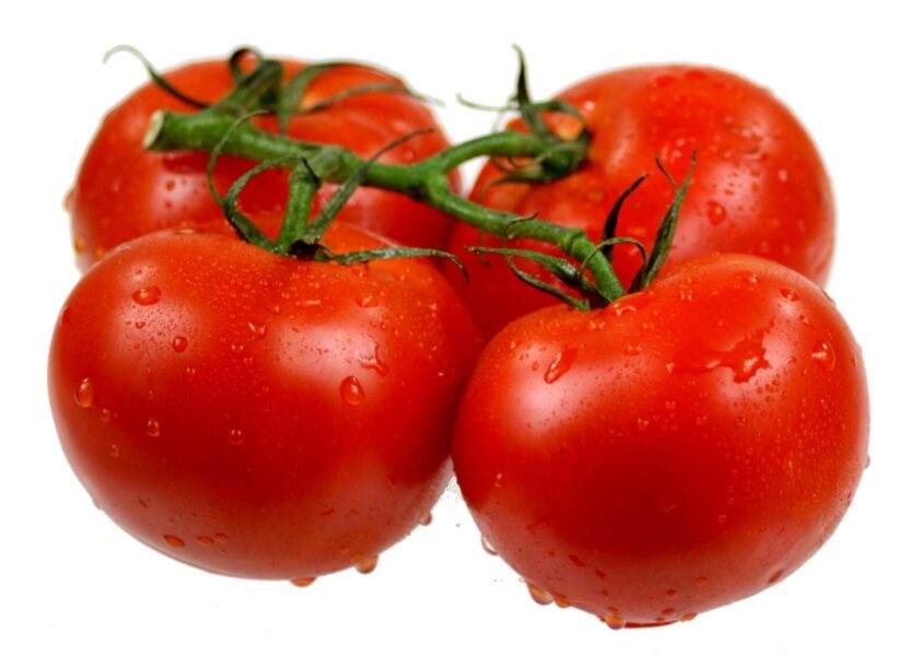 tomatoes