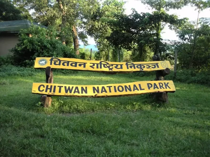 Chitwan-National-Park1